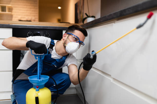 Best Mosquito Control Services  in Bliss Corner, MA