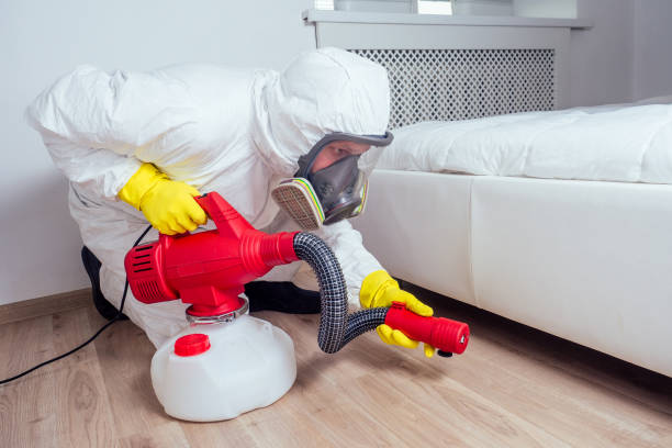 Best Commercial Pest Control Services  in Bliss Corner, MA