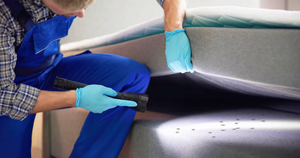 Best Local Pest Control Services  in Bliss Corner, MA