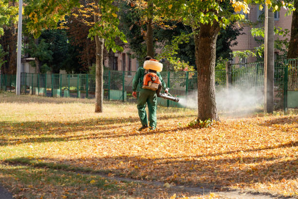 Best Wildlife Control Services  in Bliss Corner, MA