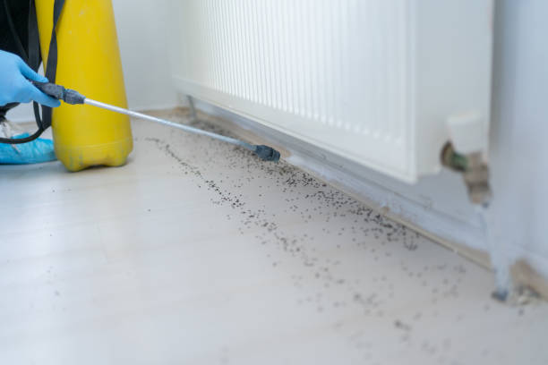 Best Cockroach Control Services  in Bliss Corner, MA